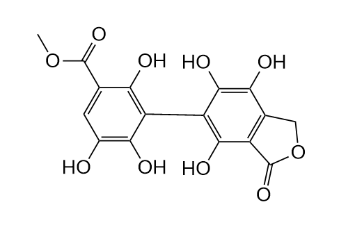 Phyllangin