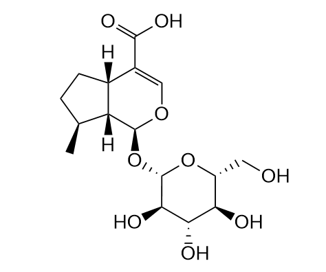 7-Deoxyloganic acid