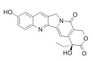 10-Hydroxycamptothecin