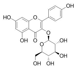 Astragaline