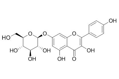 Kaempferol-7-O-��-D-glucopyranoside