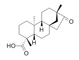 iso-Steviol