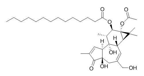 12-O- tetradecanoylphorbol-13-acetate