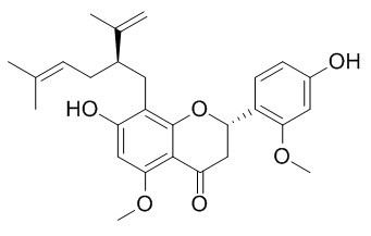 2��-Methoxykurarinone