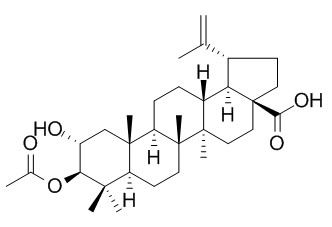 2alpha-hydroxy-3beta-acetyloxy-betulic acid