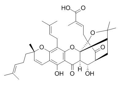 9R-10-alpha- Hydroxyepigambogic acid
