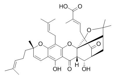 10-alpha-Hydroxyepigambogic acid