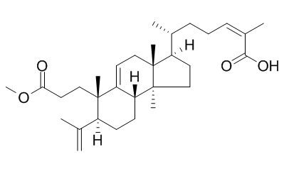 Kadsuric acid 3-methyl ester