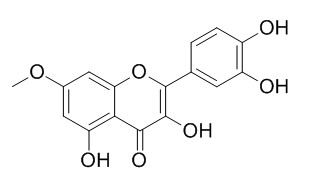 b-Rhamnocitrin