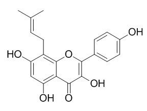 Noranhydroicaritin