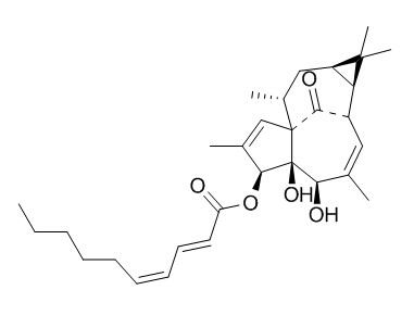 3-O-(2'E ,4'Z -decadienoyl)-20-deoxyingenol