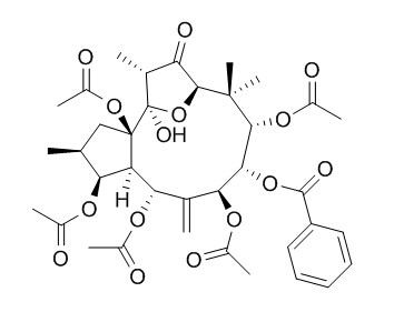 Kansuinin A