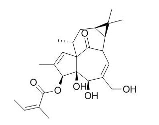 Ingenol-3-angelate