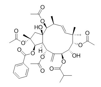 2,5,9,14-Tetraacetoxy-3-benzoyloxy-8,15-dihydroxy-7-isobutyroyloxyjatropha-6(17),11E-diene