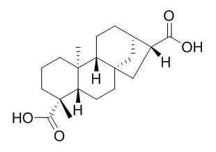 ent-kaurane-17,19-dioic acid