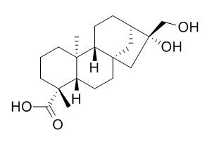 ent-16��,17-Dihydroxykauran-19-oic acid
