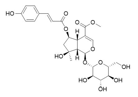 6-O-trans-p- Coumaroylshanzhiside methyl ester
