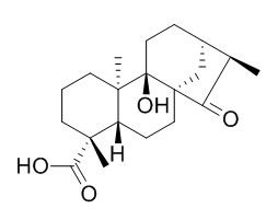 ent-9-Hydroxy-15-oxokauran-19-oic acid