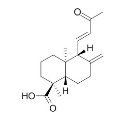 ent-14,15-Dinor-13- oxolabda-8(17),11-dien-18-oic acid