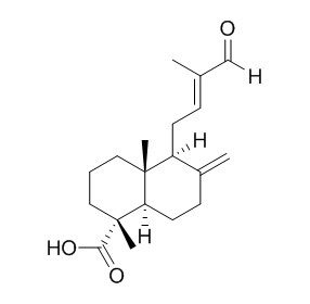 15-Nor-14- oxolabda-8(17),12-dien-18-oic acid