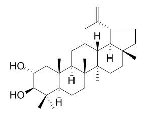 Lup-20(29)-ene-2��,3��-diol