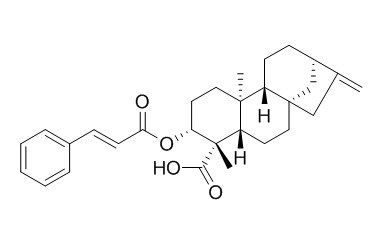 ent-3��-Cinnamoyloxykaur-16-en-19-oic acid