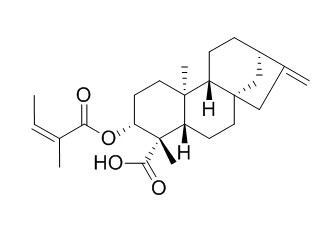 ent-3��-Angeloyloxykaur-16-en-19-oic acid
