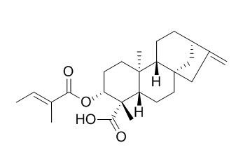 ent-3��-Tigloyloxykaur-16-en-19-oic acid