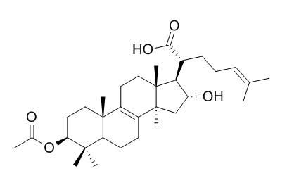 3-O-Acetyl-16 alpha- hydroxytrametenolic acid