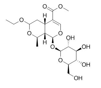7-O-Ethylmorroniside