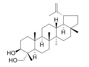 Lup-20(29)-ene-3��,23-diol