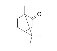 (+) Camphor