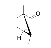 (-) Camphor