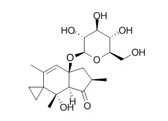 Ptaquiloside