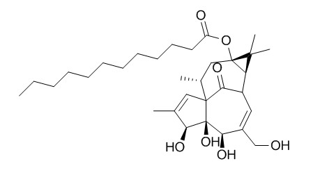 Dodecanoic acid ingenol ester