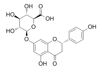 Naringenin 7-O-beta-D-glucuronide