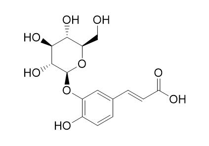 Caffeic acid 3-O-glucoside