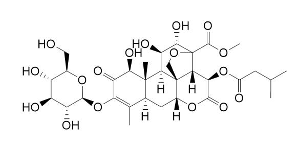 Yadanzioside B