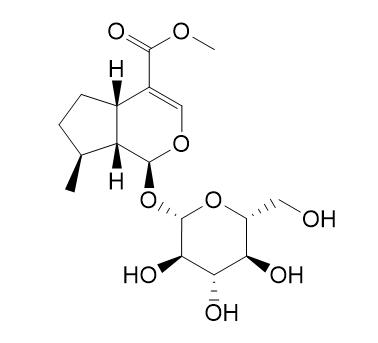 Deoxyloganin