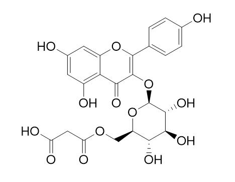 Kaempferol 3-O-malonylglucoside