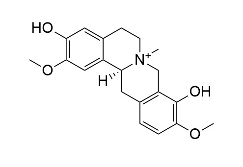 Steponine